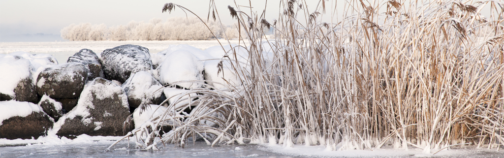 Vinter i Dalsland